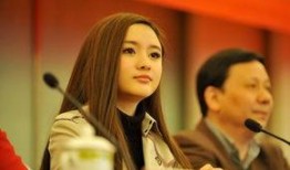 辽宁女老板爆料视频播放,揭秘企业内幕与职场真相