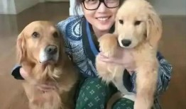 娱乐圈爆料50条狗是谁,揭秘50位明星背后的神秘“狗友”