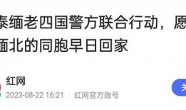 今日说法爆料吉林